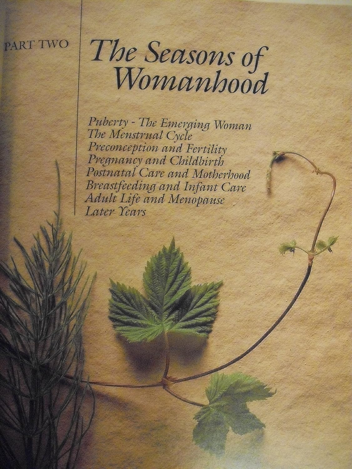 The Complete Woman's Herbal: A Manual of Healing Herbs and Nutrition for Personal Well-Being and Family Care (Henry Holt Reference Book)