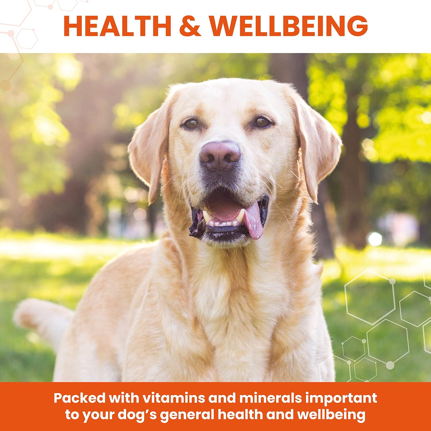 Vetzyme Conditioning Tablets 240 Tablets