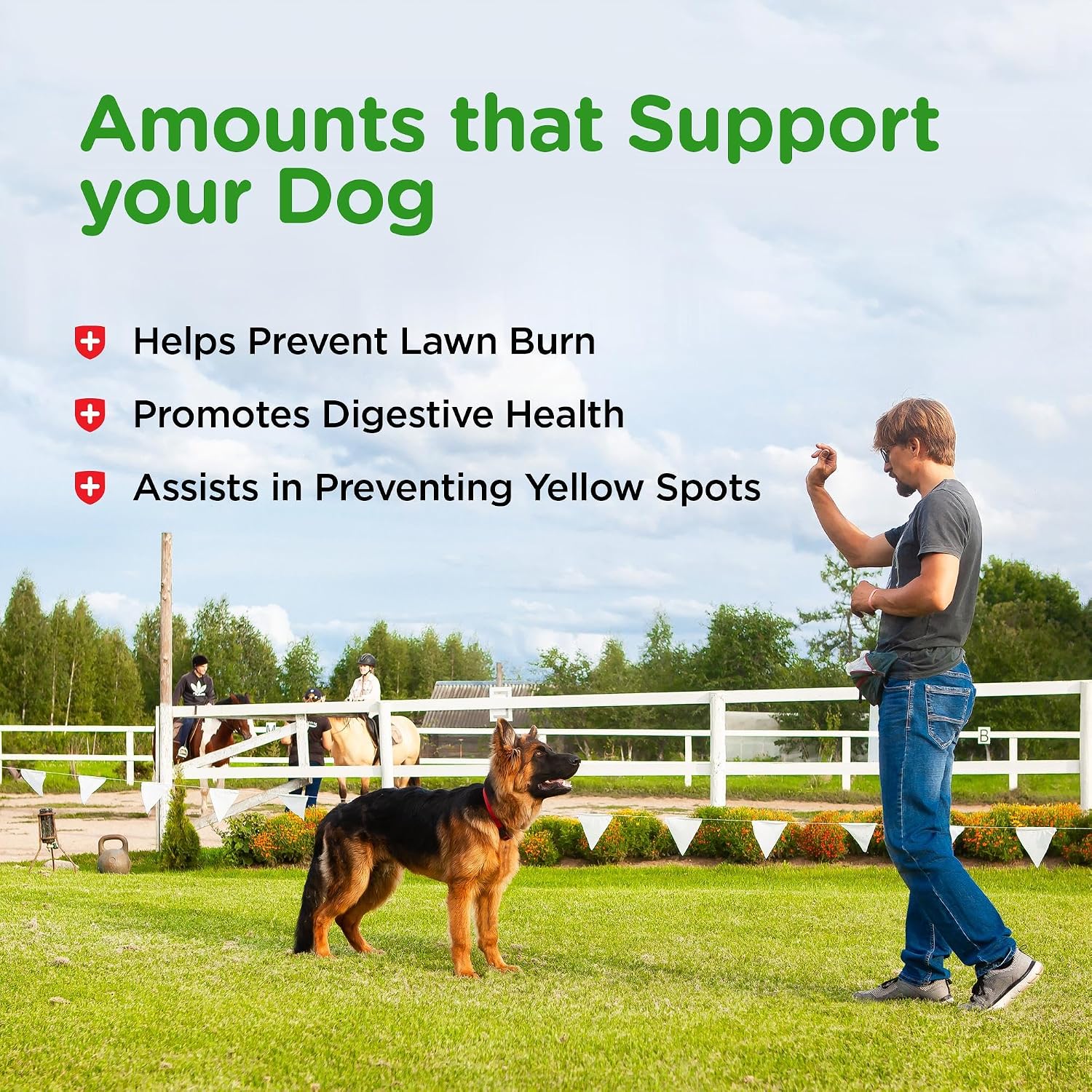 Nutri-Vet Grass Guard Chewables for Dogs, 150 Count