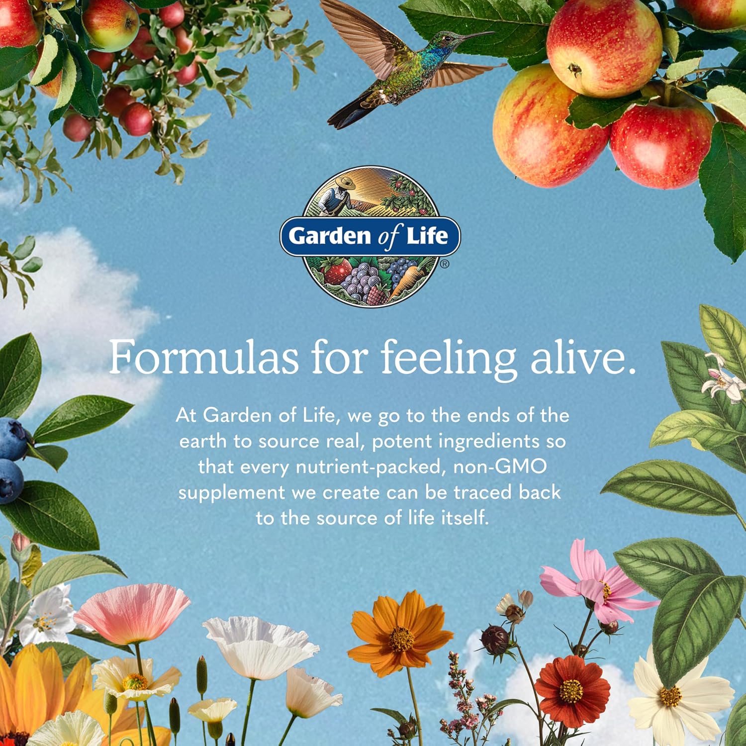 Garden of Life Vitamin Code Raw Iron Supplement - 30 Vegan Capsules, 22 mg Once Daily Iron, Vitamins C, B12, Folate, Fruit, Vegetables & Probiotics