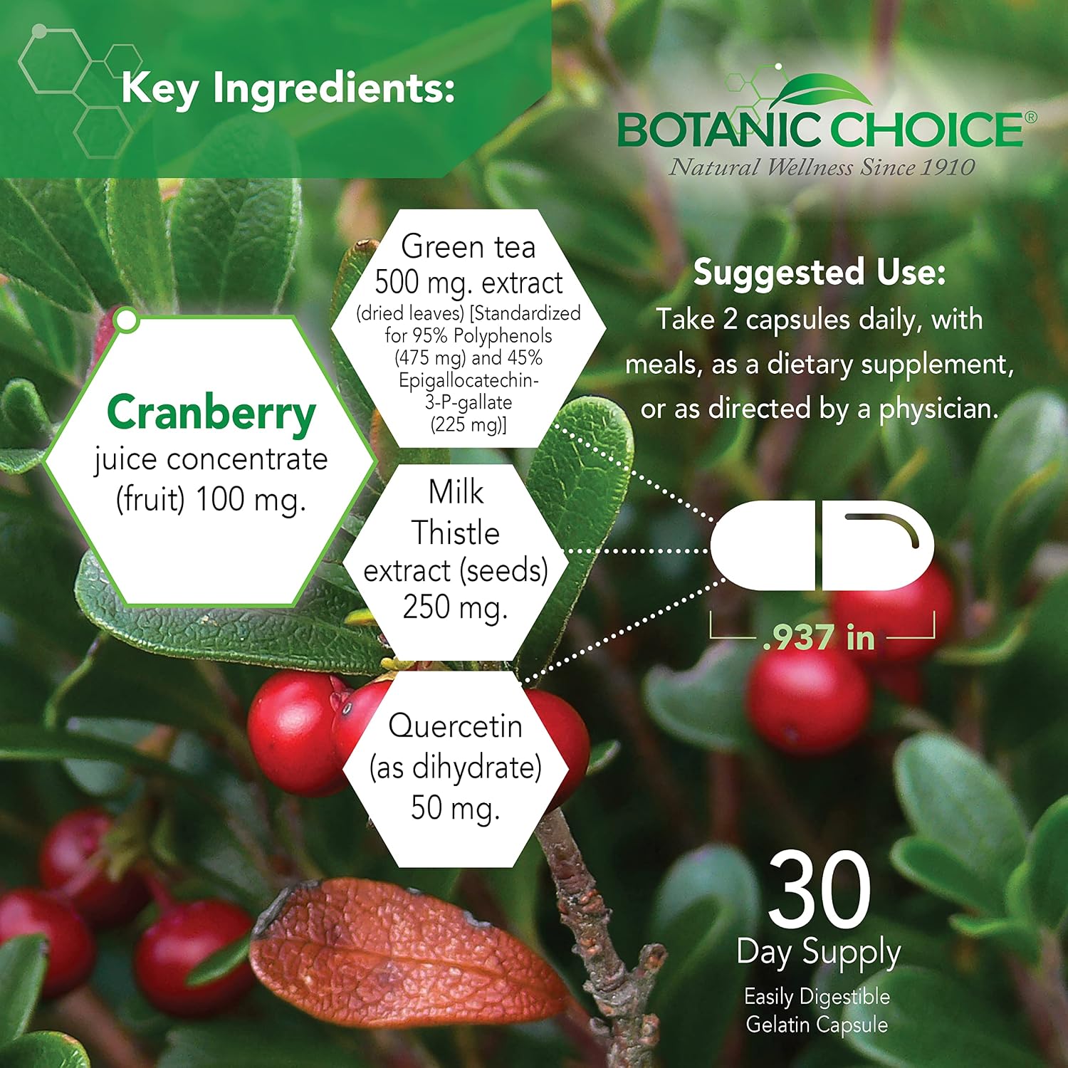 Botanic Choice Ultra Kidney Complex – Optimal Kidney Support with Milk Thistle, Green Tea & More – 60 Capsules