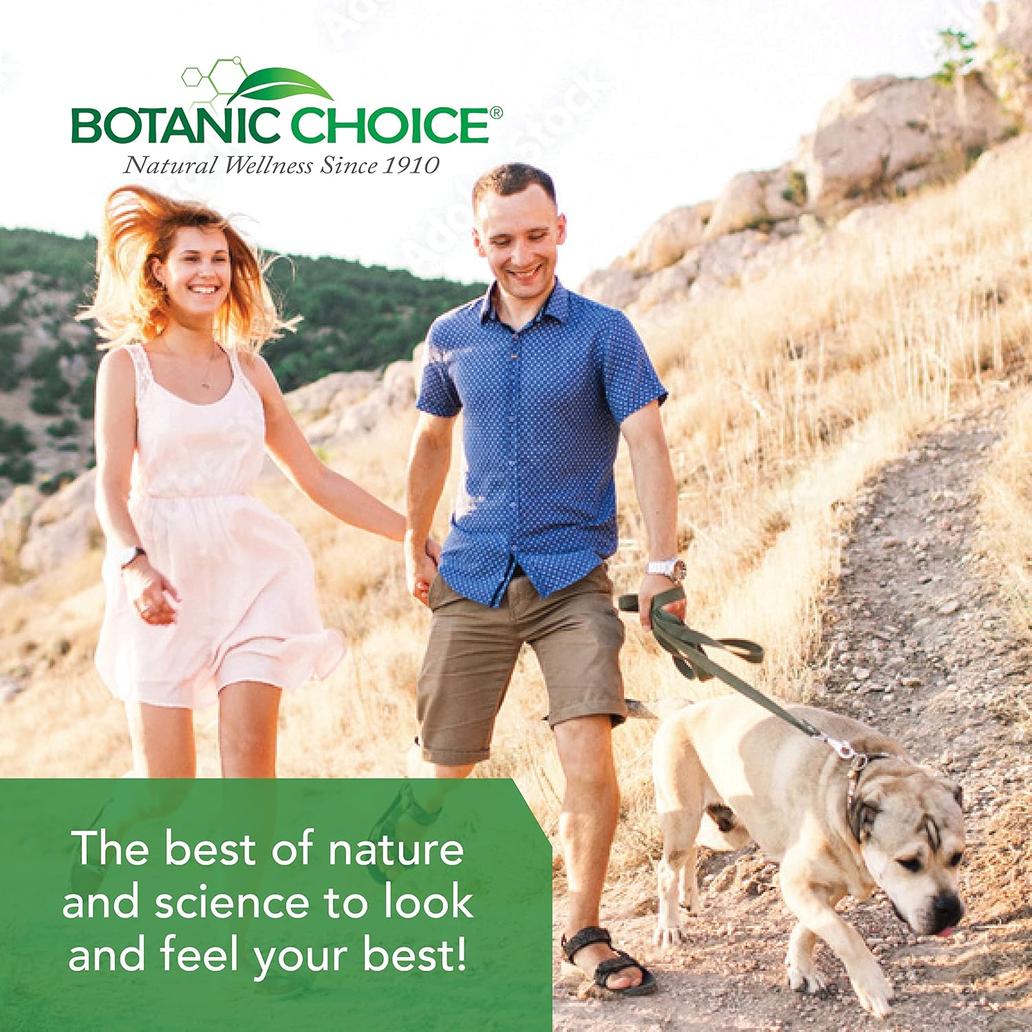 Botanic Choice Ultra Kidney Complex – Optimal Kidney Support with Milk Thistle, Green Tea & More – 60 Capsules
