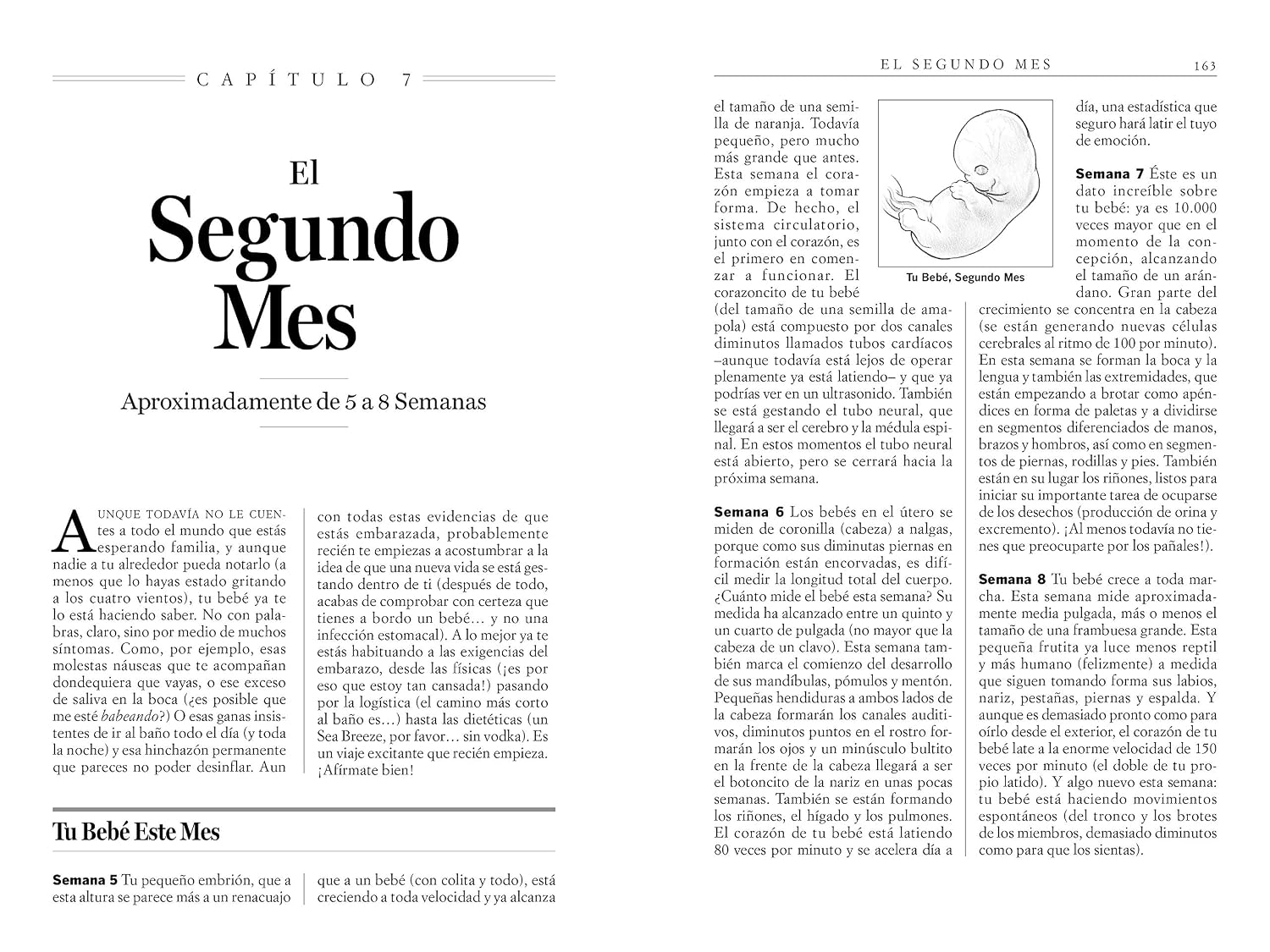 Qué Puedes Esperar Cuando Estás Esperando: 4th Edition (What to Expect) Spanish Edition